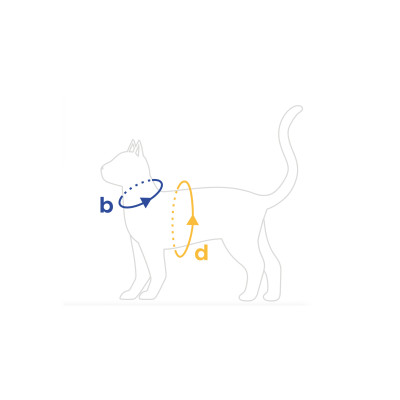 SZELKI + SMYCZ SAMBA CAT S CZERWONY
