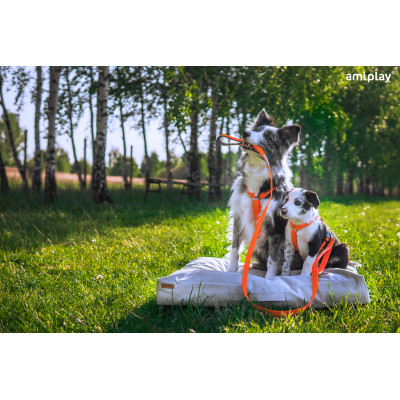 SMYCZ TRENINGOWA SAMBA L 10M CZARNY