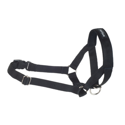 HALTER BASIC XL CZARNY