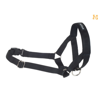 HALTER BASIC M CZARNY