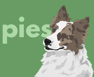 pies