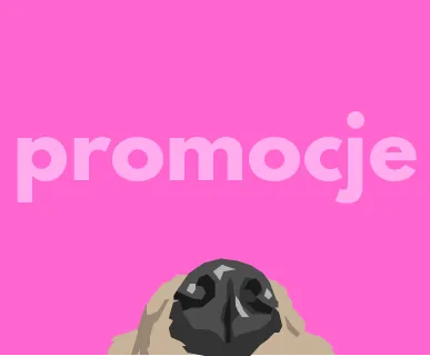 promocje